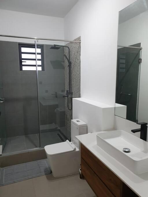 Penthouse Vue Sur Mer 200M2 Pereybere Beach エクステリア 写真